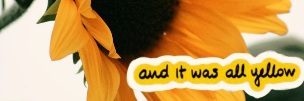 YurikoCL's profile banner image