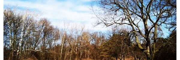 sweetbeets1 Profile Banner