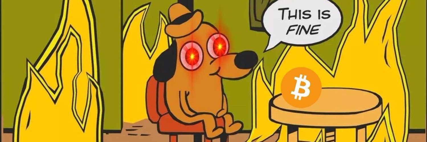 TrippyCat banner