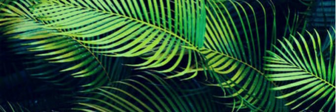 p0stt's profile banner image