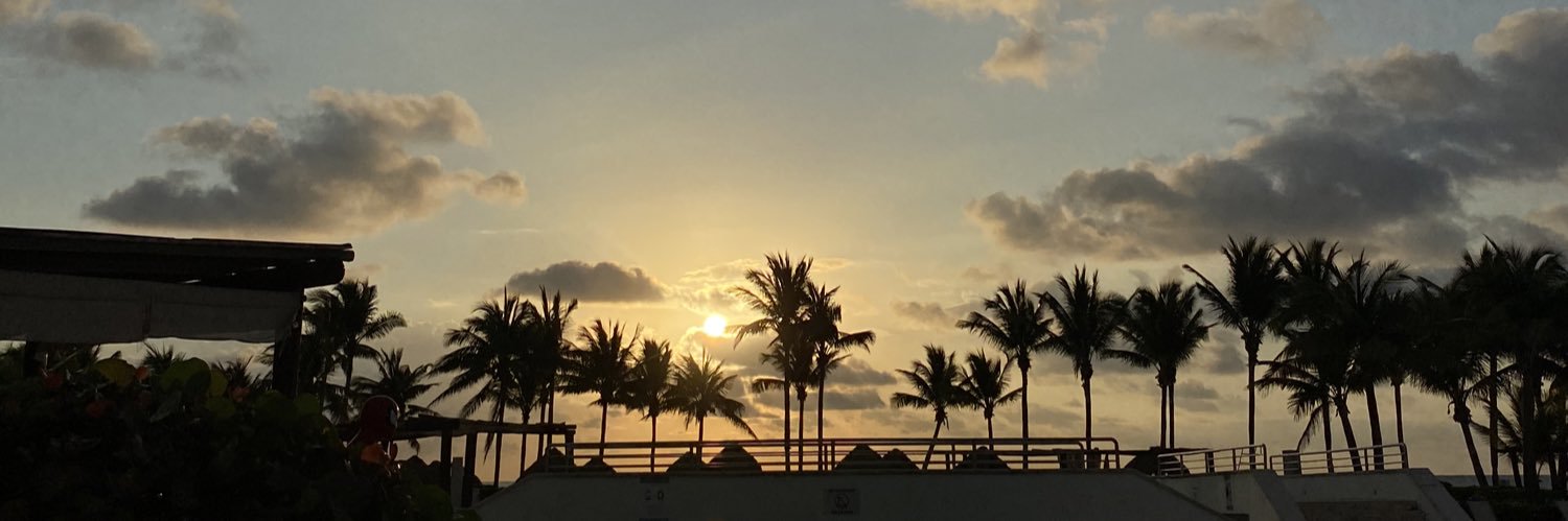 RodriPerezD's profile banner image