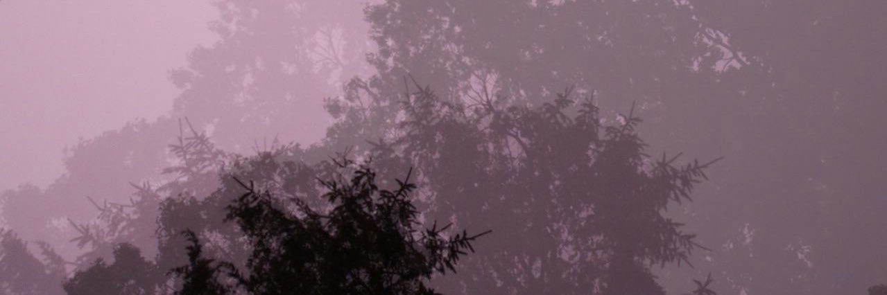 mcampbl's profile banner image