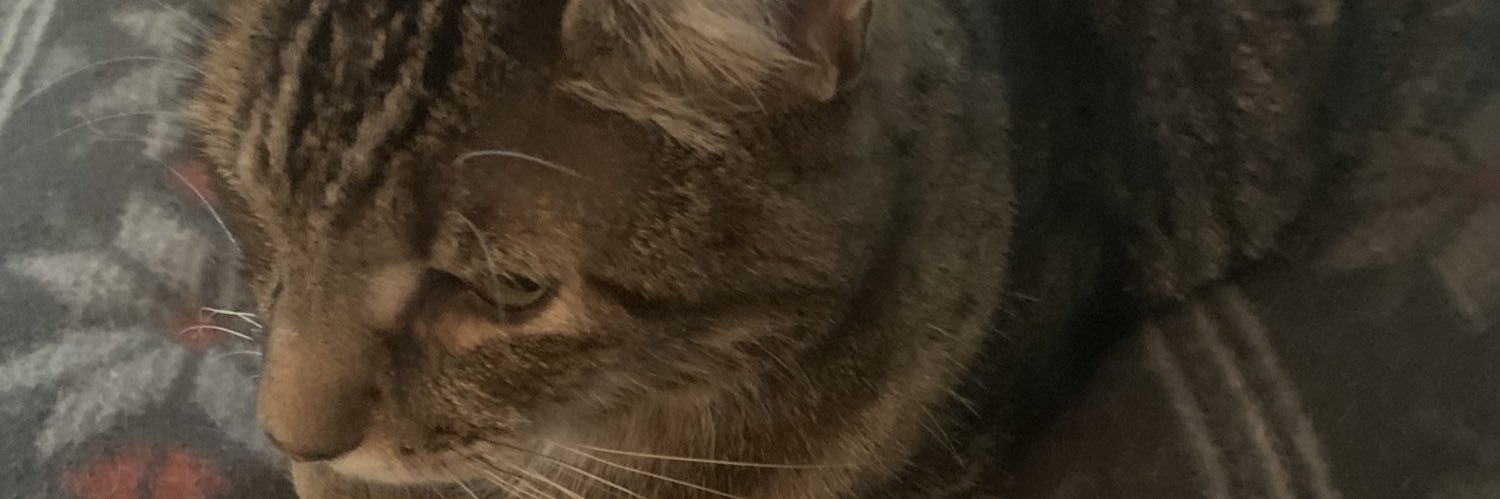 lisalisa 💚 banner