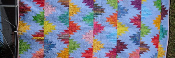 Polyquats Profile Banner