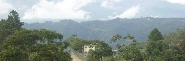 Gustavo Godoy banner