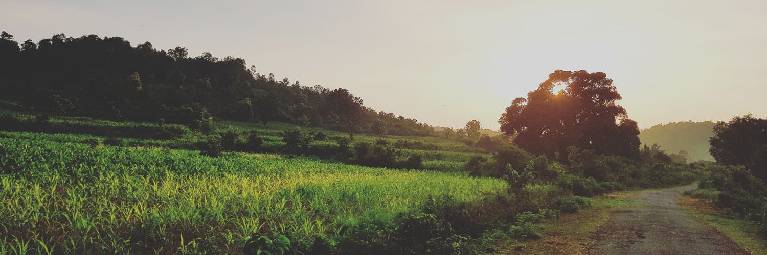 DrSithunPatro's profile banner image