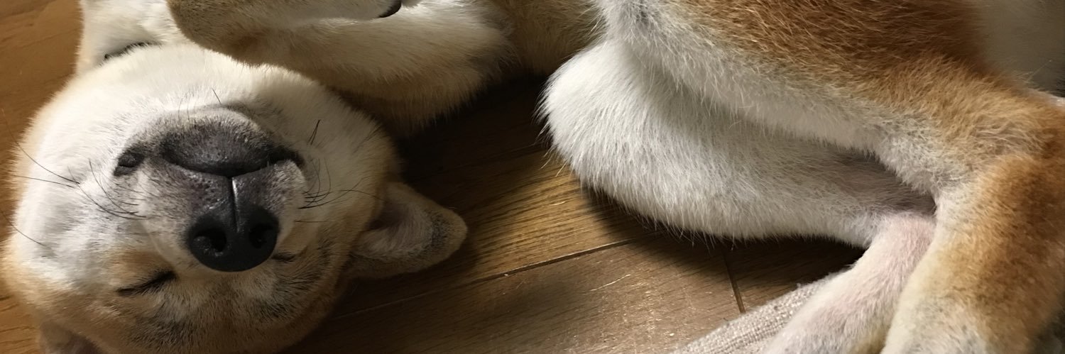 うりりん banner