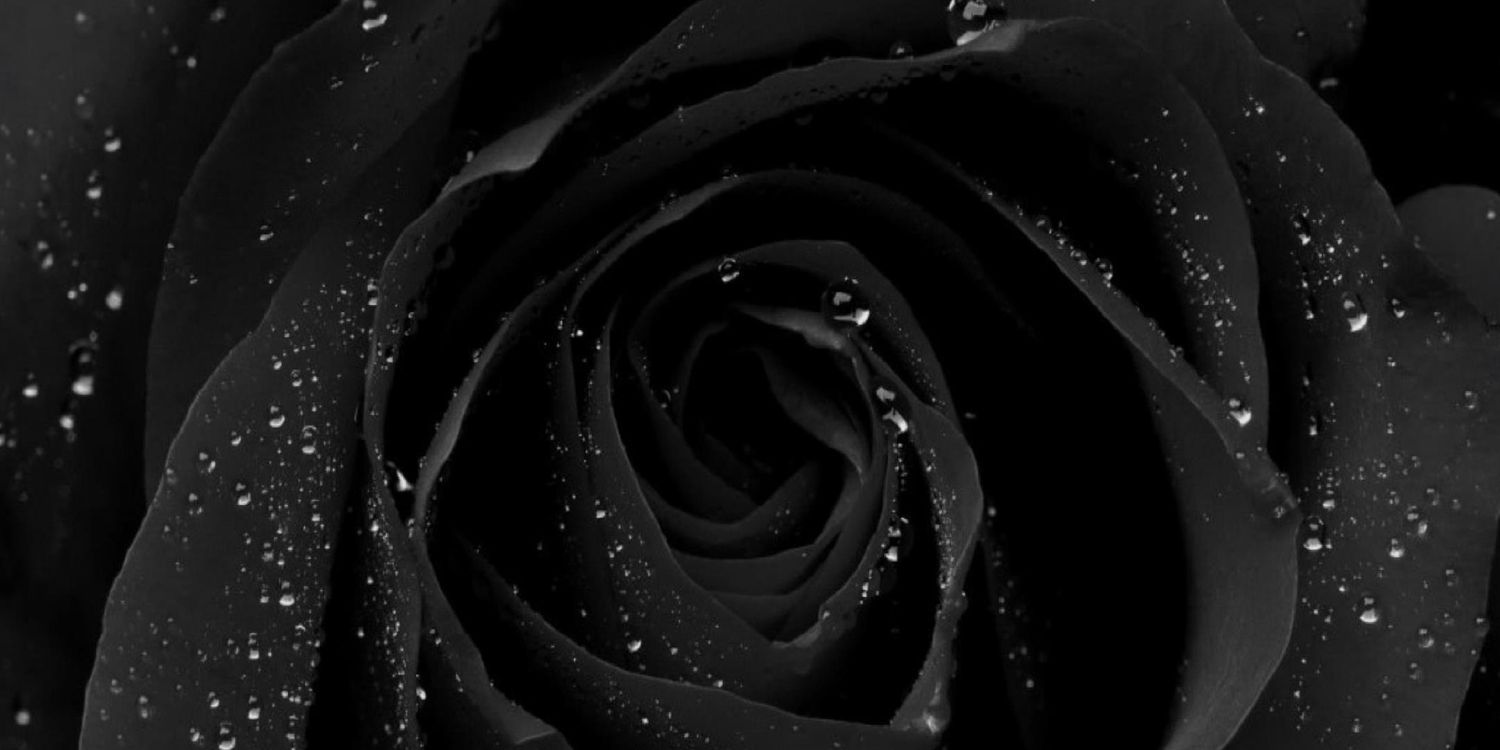 INALFORD's profile banner image