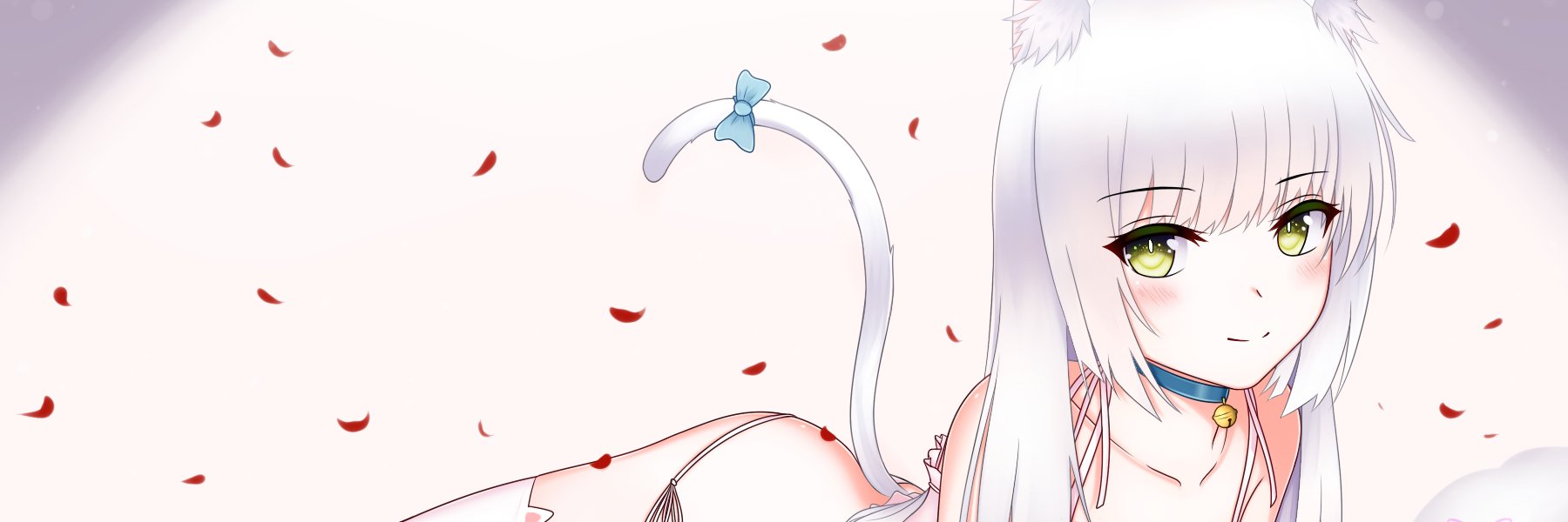 Saunts banner