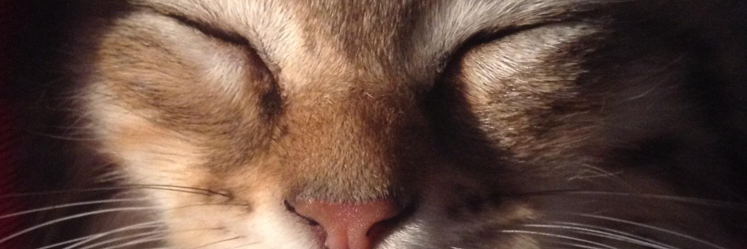 __kevie's profile banner image