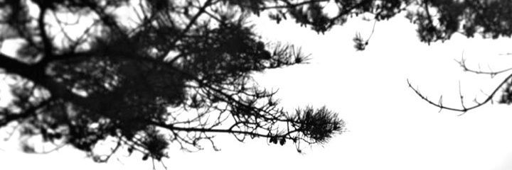 jsomiyf's profile banner image