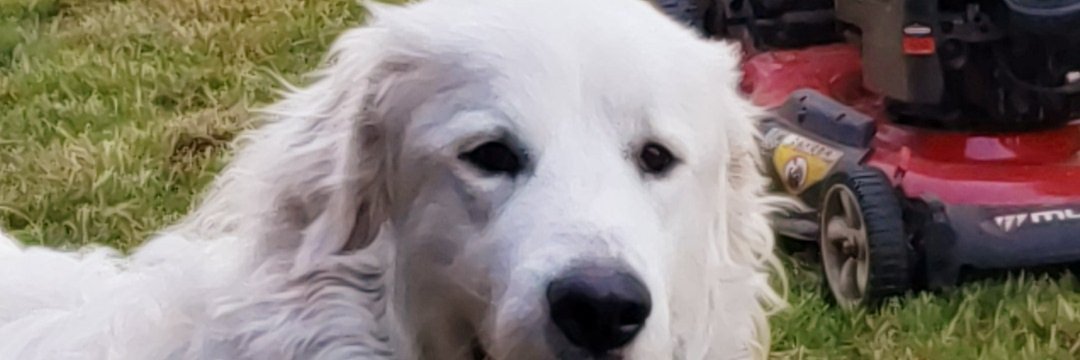 DanielMantalas's profile banner image