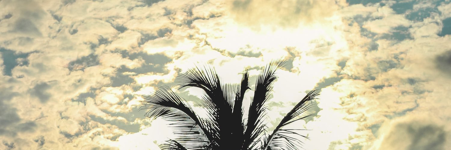 Edd_obr's profile banner image