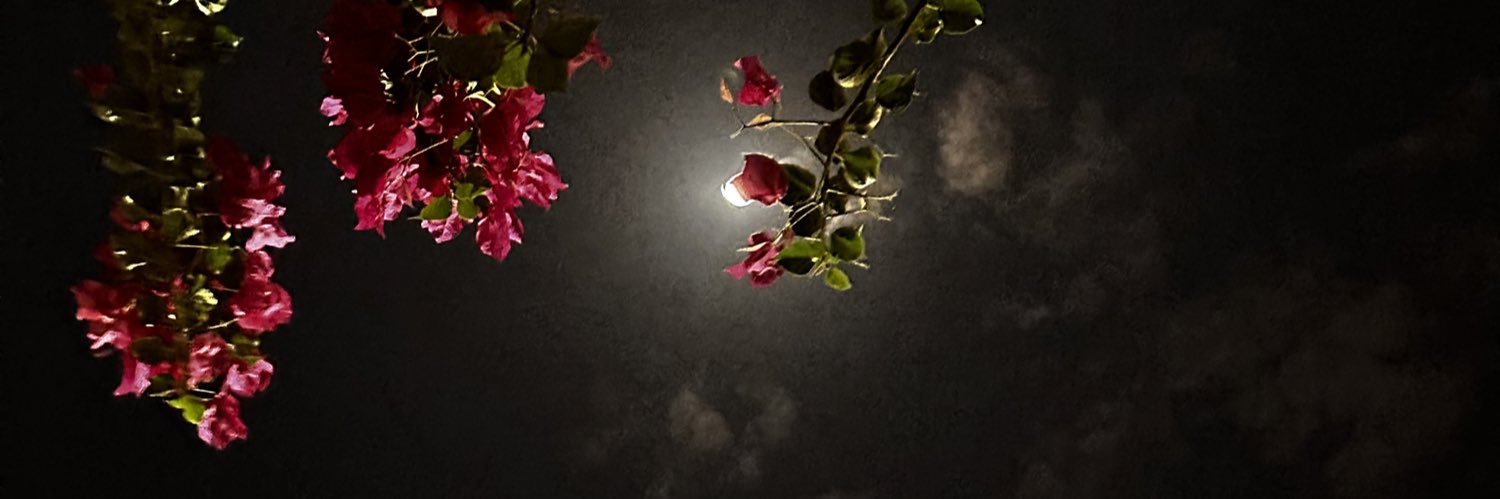 rashedalbsheri's profile banner image