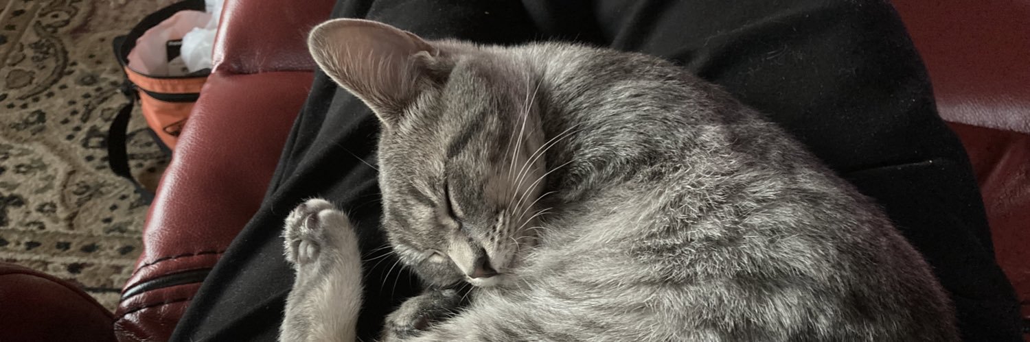 DocHaney's profile banner image