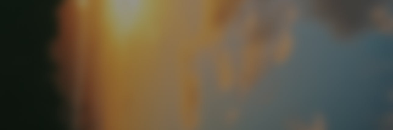 emmmaporter's profile banner image