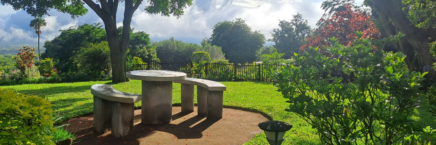 oh my goodness banner