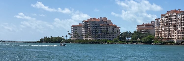 johnny tsunami banner