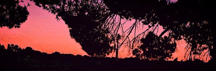 ceceoceaneeee's profile banner image