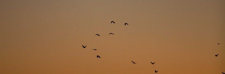 _RHl_77's profile banner image