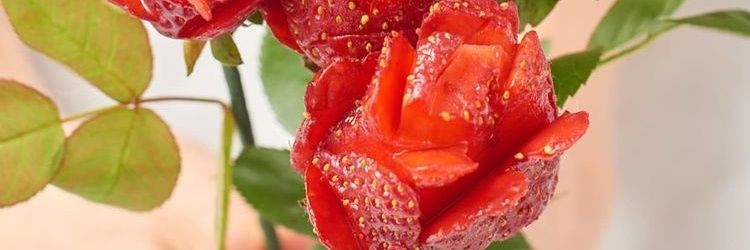 dkslxk___'s profile banner image