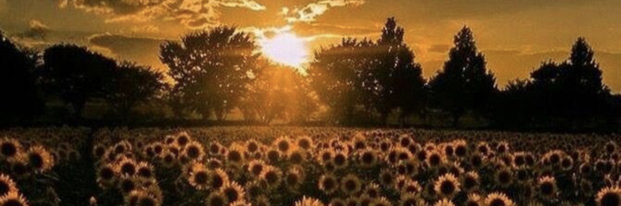 MorganShayy's profile banner image