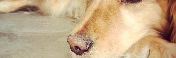 strangesandra1's profile banner image