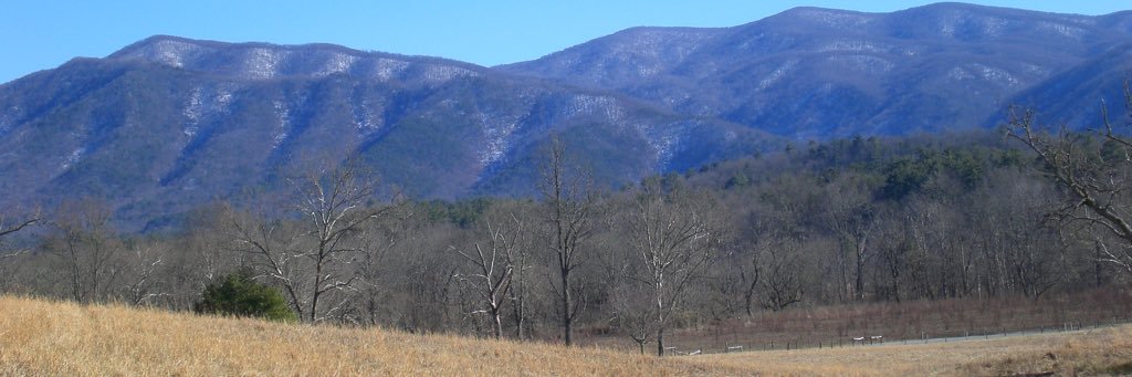Kathy30529's profile banner image