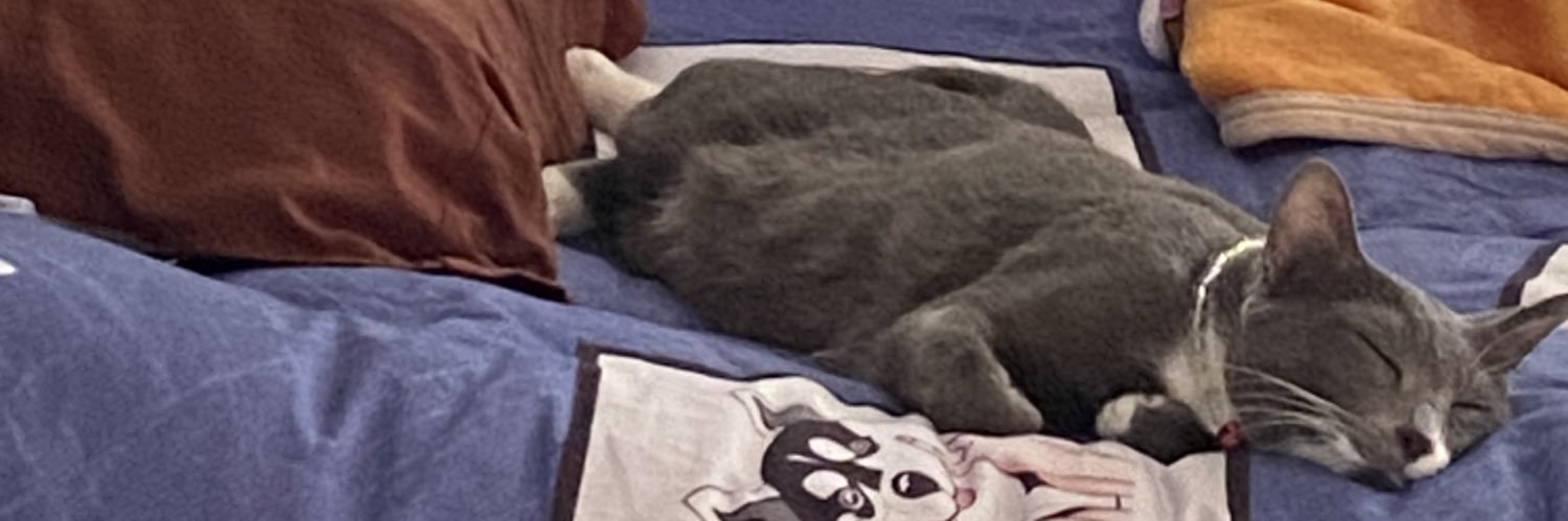 PunchPpp's profile banner image