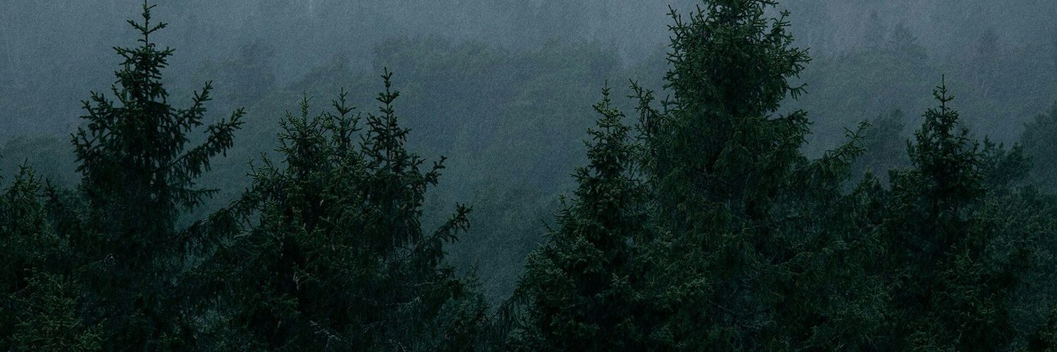 goner_z's profile banner image