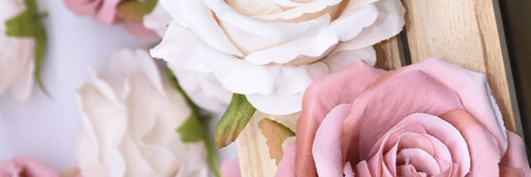 aber_a's profile banner image