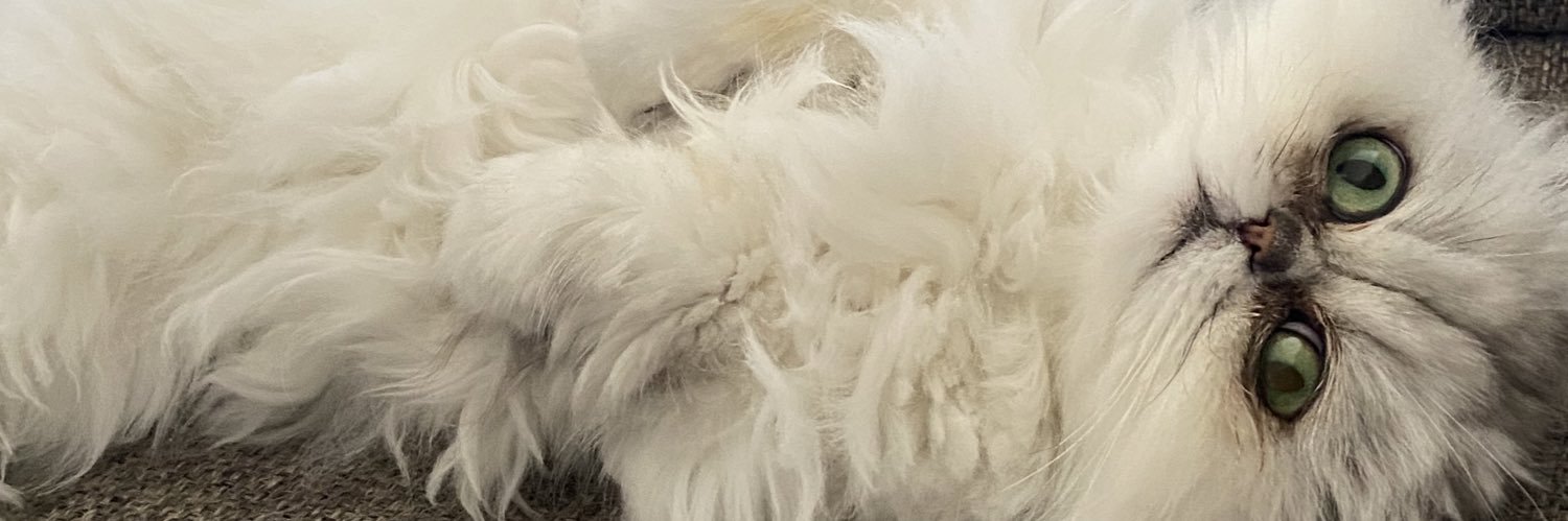 KatyyKeane's profile banner image