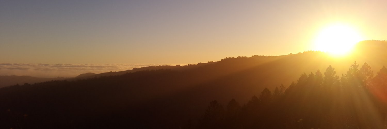 Amanda Huber banner