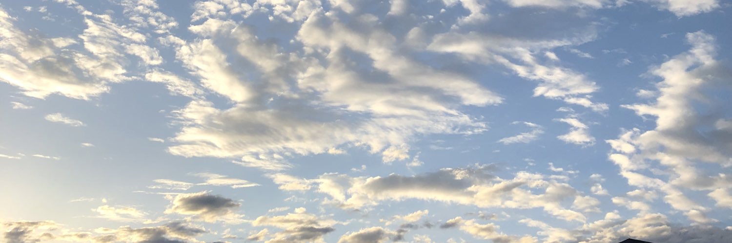 ambrojhae's profile banner image