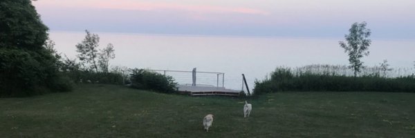 natfrum Profile Banner