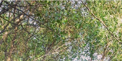 bithaaraa's profile banner image