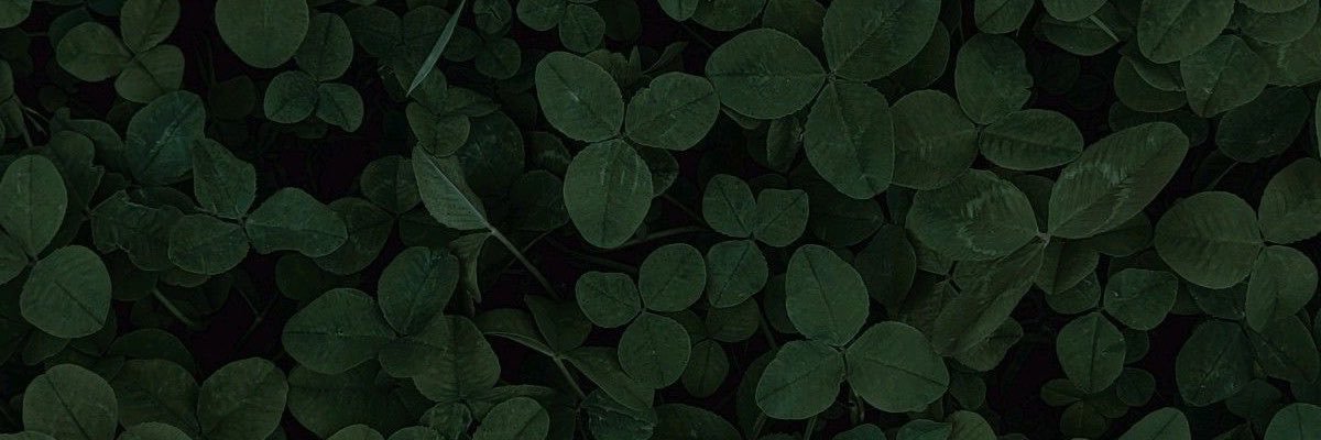 Sungihoon's profile banner image