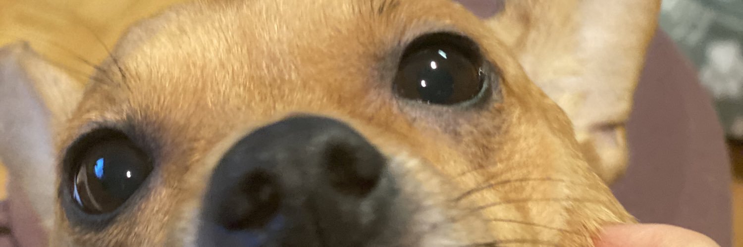 erinlee808's profile banner image