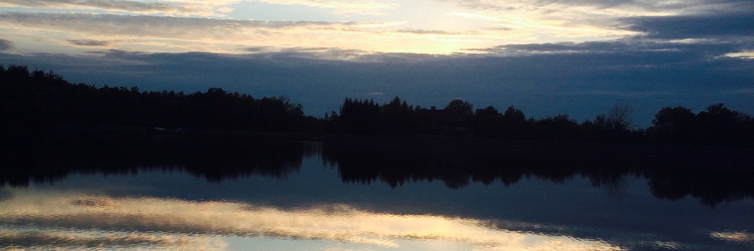 nekri2's profile banner image