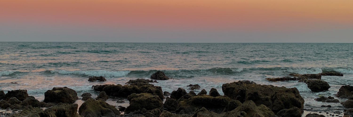 pbfibs's profile banner image