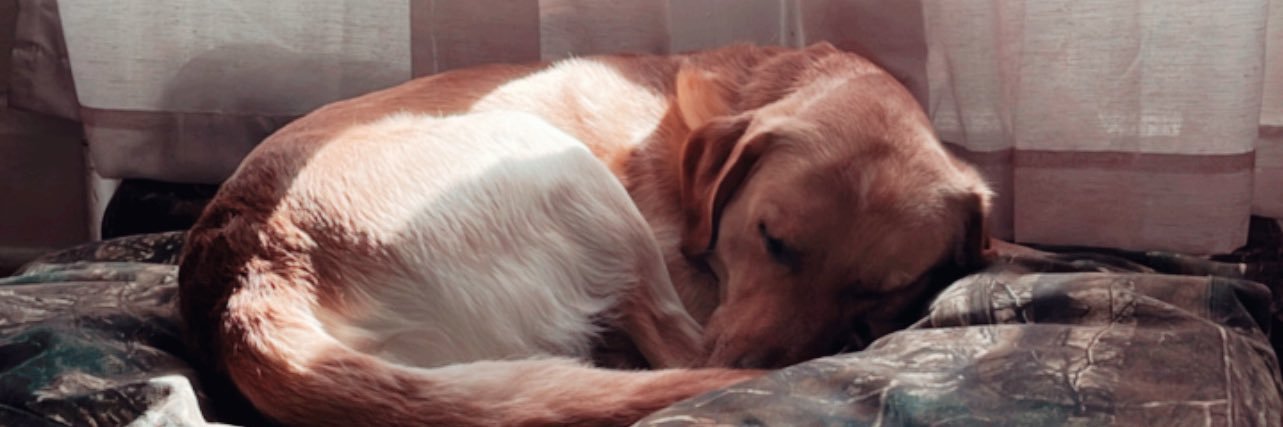 shelbbbcoonrad's profile banner image