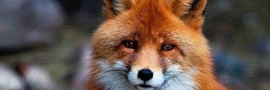 254njex's profile banner image