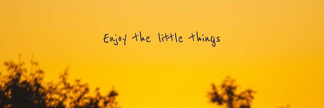 Amiable_leo's profile banner image