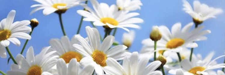 PaulinaDhea's profile banner image