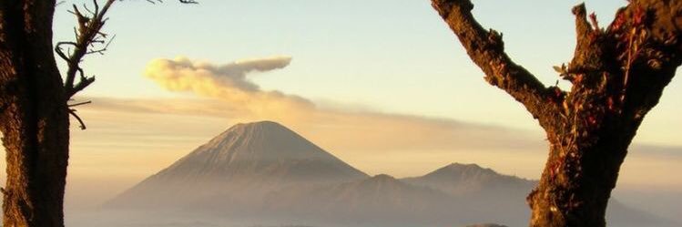 Dodi Setiawan D banner