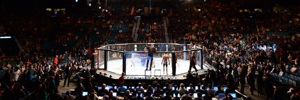 mma_crowd's profile banner image