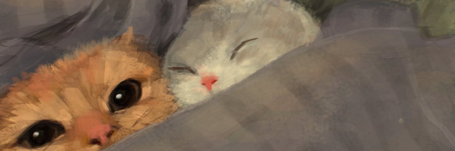 lilcirbec's profile banner image