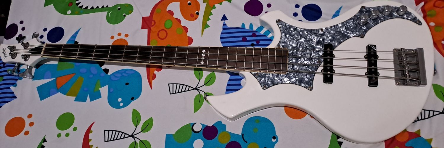 Dicky Zulfikar M banner