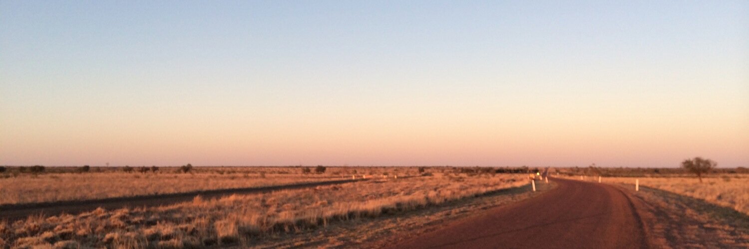 Will Banks banner