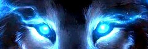 Sacred_Wolf86 banner